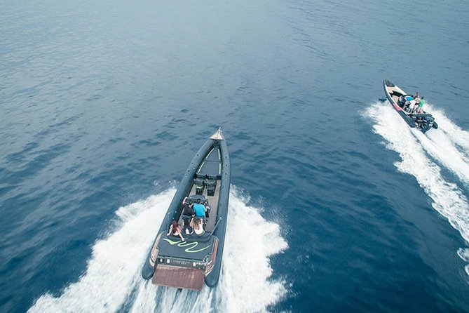 Private Speed Boat Day Cruise In Athens Riviera - Is nearly $2,000 a fair price?