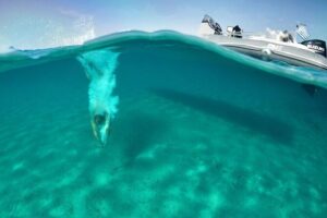 Private Speedboat Cruise from Delos to Rhenia and Mykonos - Rhenia and Skinos Blue Lacuna: Where the Day Turns Into a Swim