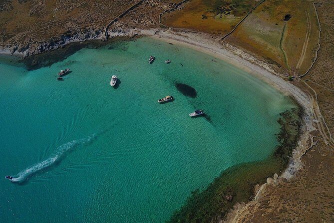 Private Speedboat Cruise from Delos to Rhenia and Mykonos - Who Should Book This (And Who Might Prefer Something Else)