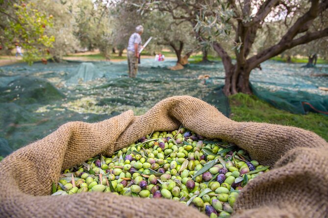 Private Tailored Full-Day Taste Tour in Lefkada with Pick Up - Key points at a glance