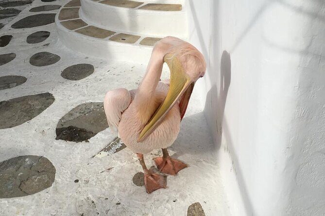 Private Tour: 4 Hours Mykonos Island Tour - Like a Local - Ano Mera: Traditional Village Energy and a Real Culture Break