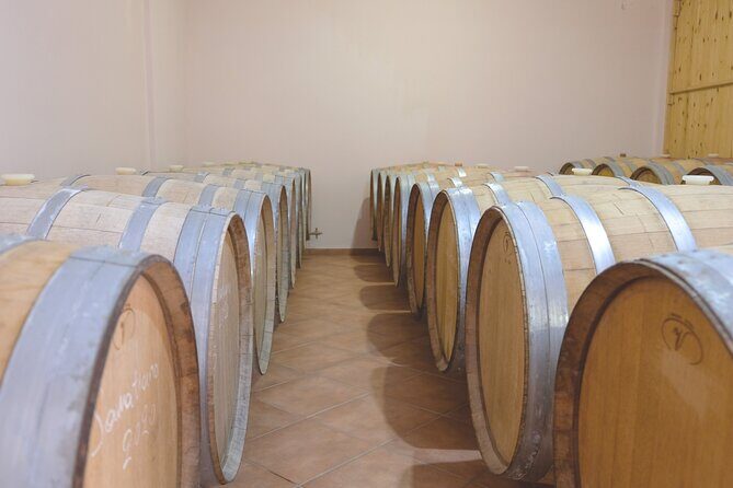 Private Tour and Tasting at Zeginis Winery - In the Cellar With the Enologist: How Wine Becomes Wine