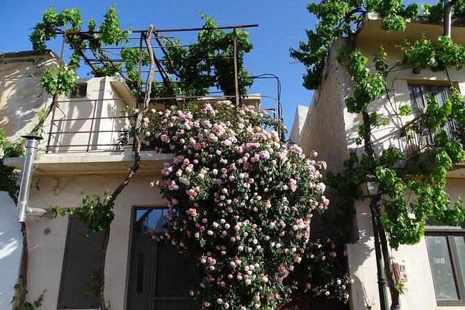 Private Tour-Authentic Villages of Lasithi Olive Oil and Wine - Tzermiado, the plateau village