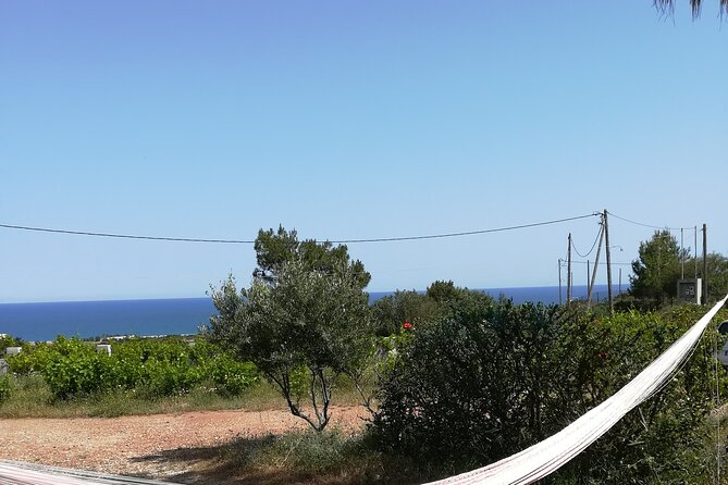 Private Tour: Discover the Secret World of Olives in Afantou - Herbs, flowers, fruit trees, and farm animals