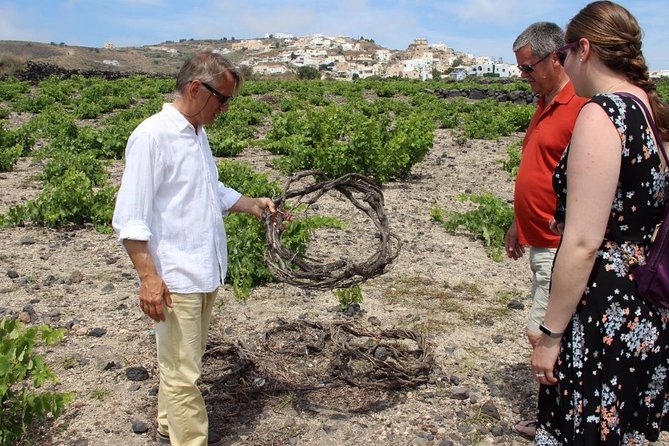 Private Tour: Great Wines and Famous Towns of Santorini - Hatzidakis Winery: four wines and island character