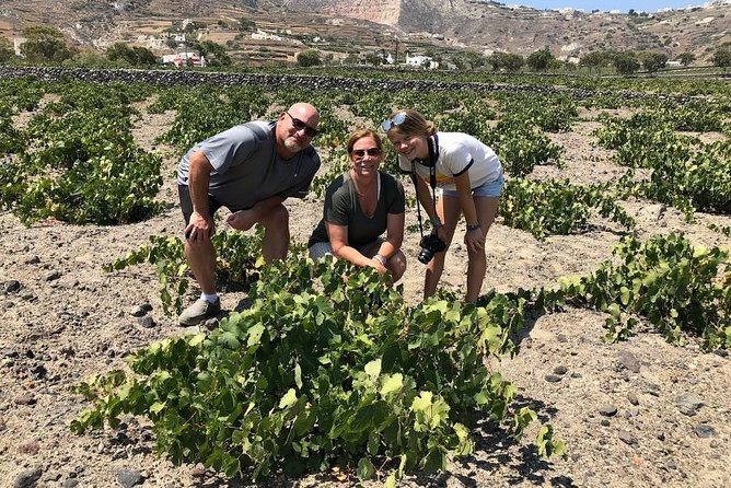 Private Tour: Great Wines and Famous Towns of Santorini - The guides can shape the whole day