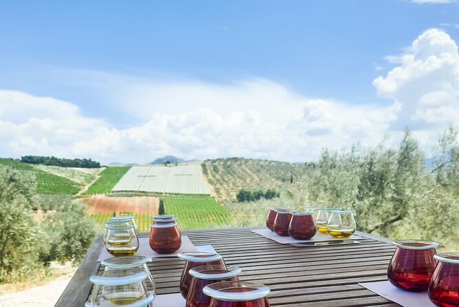 Private tour in Nafplio with Olive oil Tasting Tour in Corinth - Oleosophia and the taste of Greek olive oil