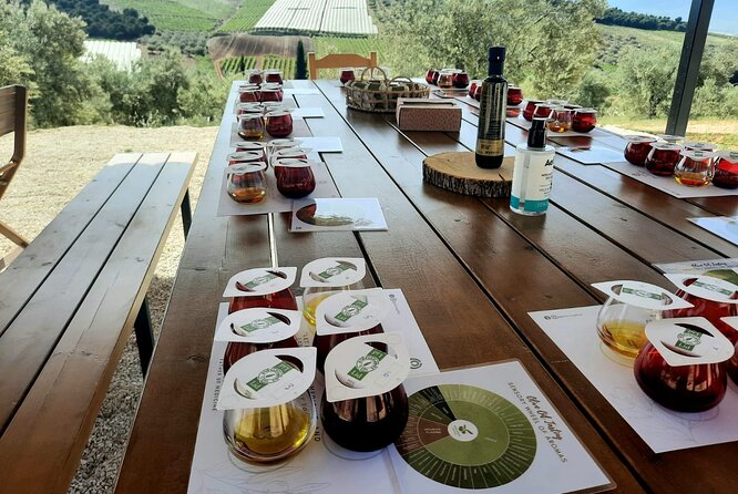 Private tour in Nafplio with Olive oil Tasting Tour in Corinth - What the $529.81 price really buys