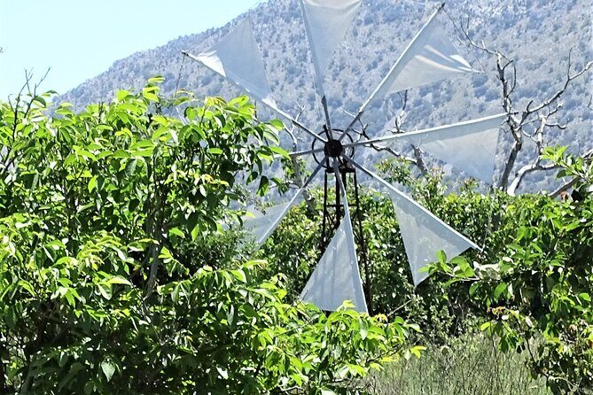 Private Tour-Knossos Palace Zeus Cave Olive Oil Mill & Wine - Gouves Olive Oil Factory Stop: Pressed-Right-Here Flavor