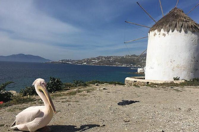 Private Tour: Mykonos Island in Half a Day - Ano Mera and Panagia Tourliani: the calmer Mykonos you didn’t plan for