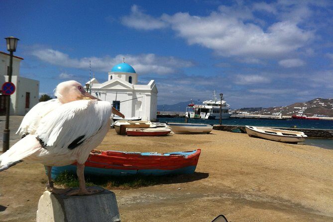 Private Tour: Mykonos Island in Half a Day - Beaches and views: Kalo Livadi, plus time near town