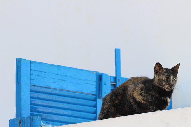 Private Tour: Mykonos Island in Half a Day - Who this tour suits best