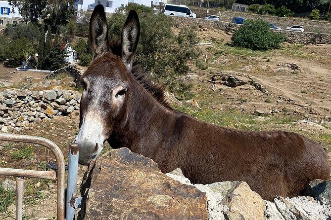 Private Tour Of Mykonos Included Town - Ano Mera’s slower pace: village streets, souvenirs, and Tourliani