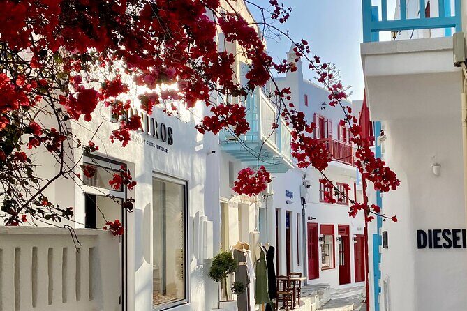 Private Tour Of Mykonos Included Town - Price and value: what you get for $164.08 per person