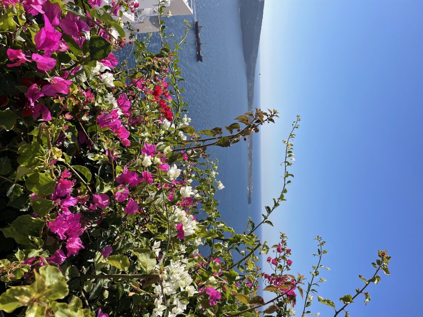 Private Tour of the Famous Blue Domes and Caldera - Oia: blue domes, windmills, and the old castle