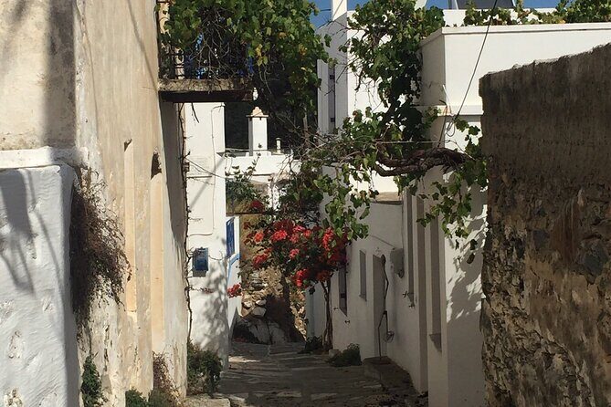 Private Tour on Paros Island - A private Paros day that starts without hassle