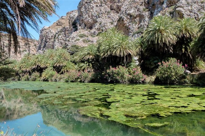Private Tour Rethymno: Spili, Preveli, Kourtaliotiko, Old Town - What the private guide adds