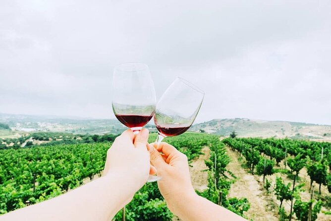 Private Tour: Soap, Olive Oil & Lyrarakis Winery with Lunch - The scenery, food, and pace