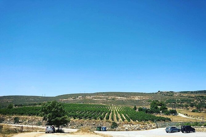 Private Tour: Soap, Olive Oil & Lyrarakis Winery with Lunch - Who should book this experience