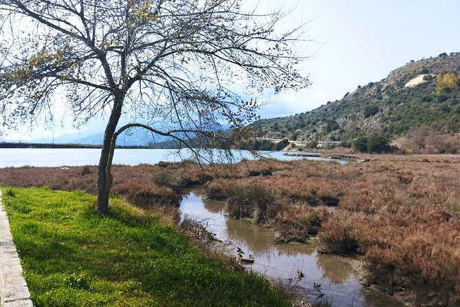 Private tour to Albania from Corfu - Inside Butrint National Park