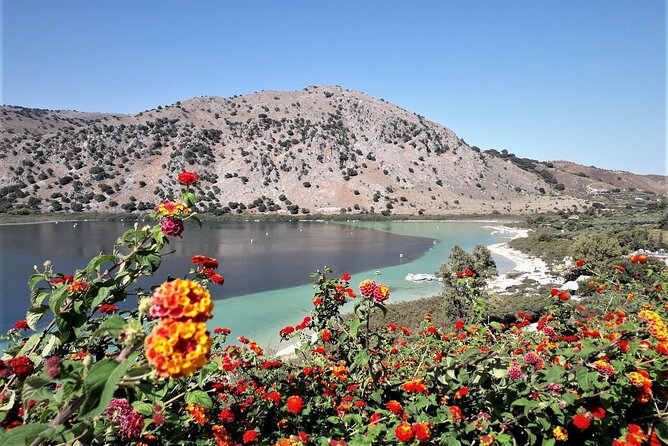Private Tour West Crete: Chania & Rethymno Town and Kournas Lake - Starting with Chania’s Venetian Port and Old Town
