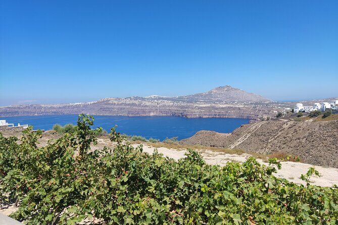 Private Transfer Santorini One-way From/To Airport, Port & Hotel - The Ride Itself: Clean Mini-Bus Comfort and Luggage Help