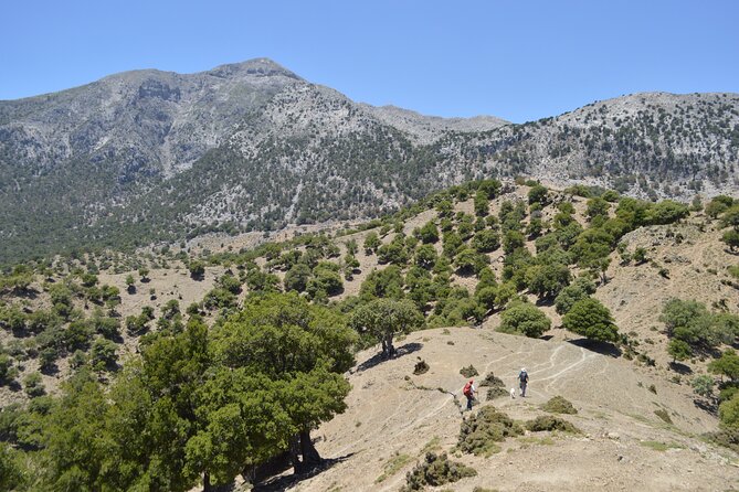 Private Trekking Rouvas Gorge - Key points to know before booking