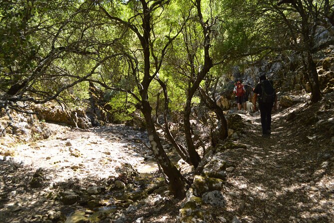 Private Trekking Rouvas Gorge - Dyo Prini or back to Zaros Lake