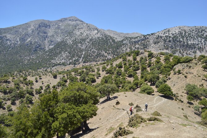 Private Trekking Rouvas Gorge - A private guide and a small-group format
