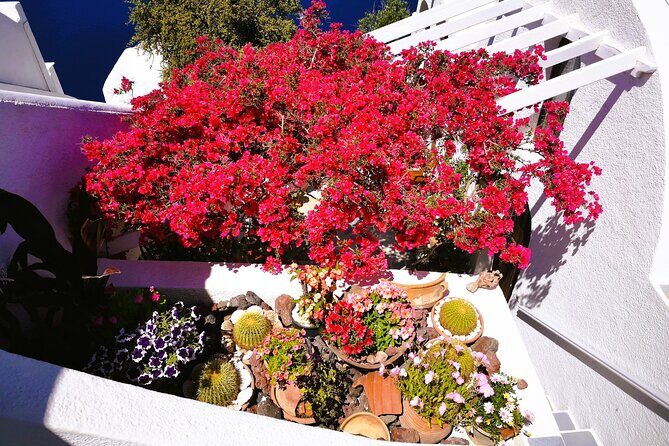 Private Unseen Authentic Santorini Half Day Island Tour - Messaria (Mesaria): village streets at human speed