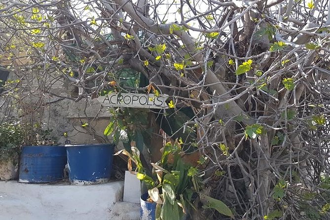 Private walking tour- Enjoy a Sunset Tour in Plaka - From the old University toward Monastiraki