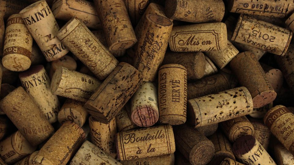 Private Wine Tasting Experience in Athens - Should you book this Greek wine tasting?