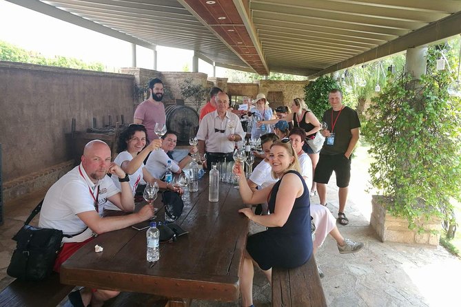 Private Wine Tasting Experience of Greek Awarded Wines at Athens Wine Suburb - Price, timing, and who gets the best value