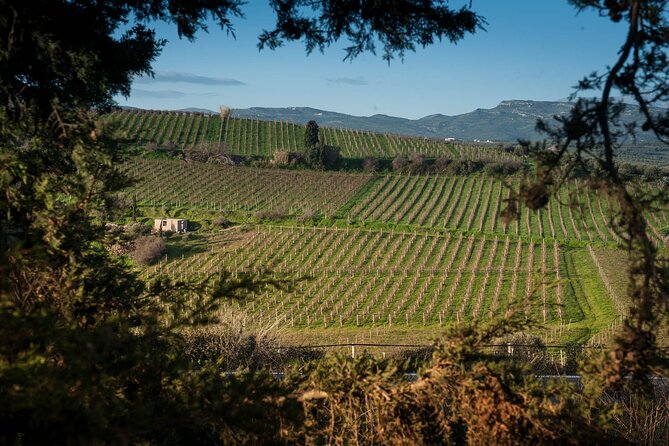 Private Wine Tour at Peza Valley - 2 Wineries and Lunch at Peza - Why Peza Valley makes sense for a wine day