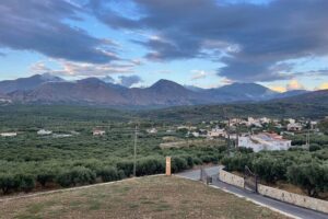 PRIVATE-Winery+Olive Oil Factory-Old Villages-Old Wind Mills - Driving through olive groves and grapevines: the wine moment on the road