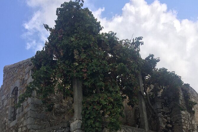 PRIVATE-Winery+Olive Oil Factory-Old Villages-Old Wind Mills - Price and value from a real-day point of view