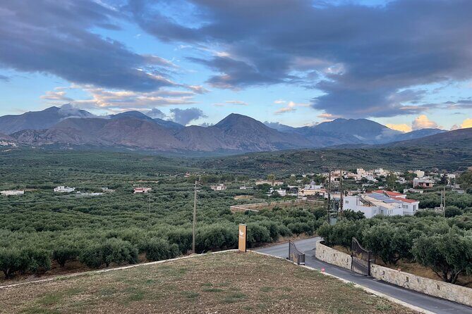PRIVATE-Winery+Olive Oil Factory-Old Villages-Old Wind Mills - Driving through olive groves and grapevines: the wine moment on the road
