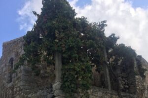 PRIVATE-Zeus Birthplace-Traditional Villages-Olive Oil Factory - Olive Oil at the Omalia Press: Learning and Tasting With Purpose