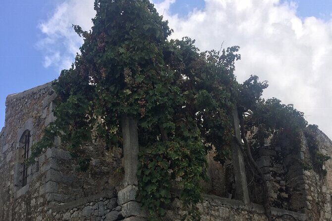 PRIVATE-Zeus Birthplace-Traditional Villages-Olive Oil Factory - Olive Oil at the Omalia Press: Learning and Tasting With Purpose