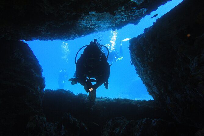 Qualified Diver 1 Tank Dive in Mykonos - Water conditions in the Aegean: what “chosen daily” means for you