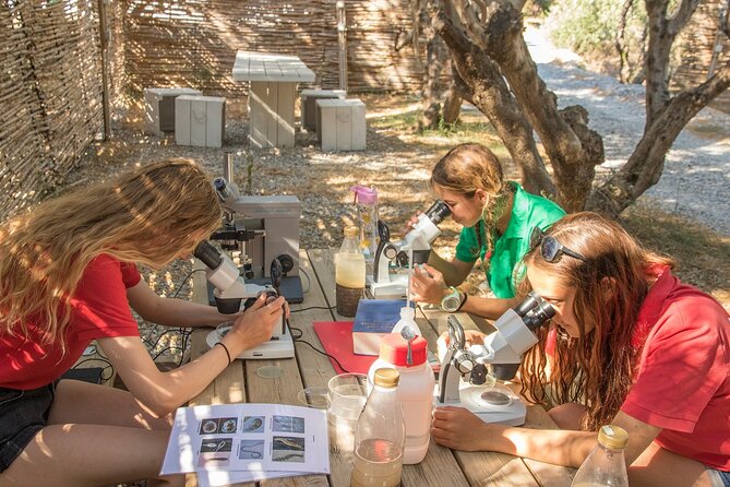 Research diving with a Marine Biologist in Crete - How much learning is involved?