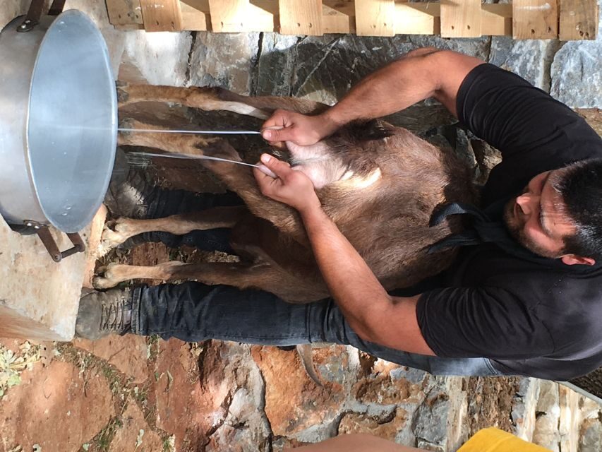 Rethymno 4x4 Safari: Tastes & Farm Experience - Key things that make this Rethymno 4x4 day worth it
