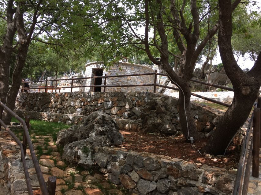 Rethymno 4x4 Safari: Tastes & Farm Experience - Klados Winery in Panormos: wine tasting with production context