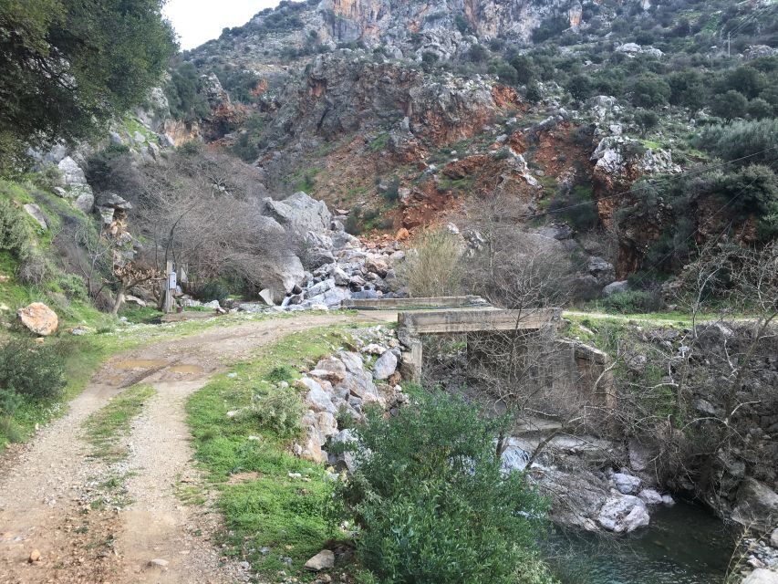 Rethymno 4x4 Safari: Tastes & Farm Experience - Melidoni Olive Oil Mill: stone pressing and fresh peppery taste