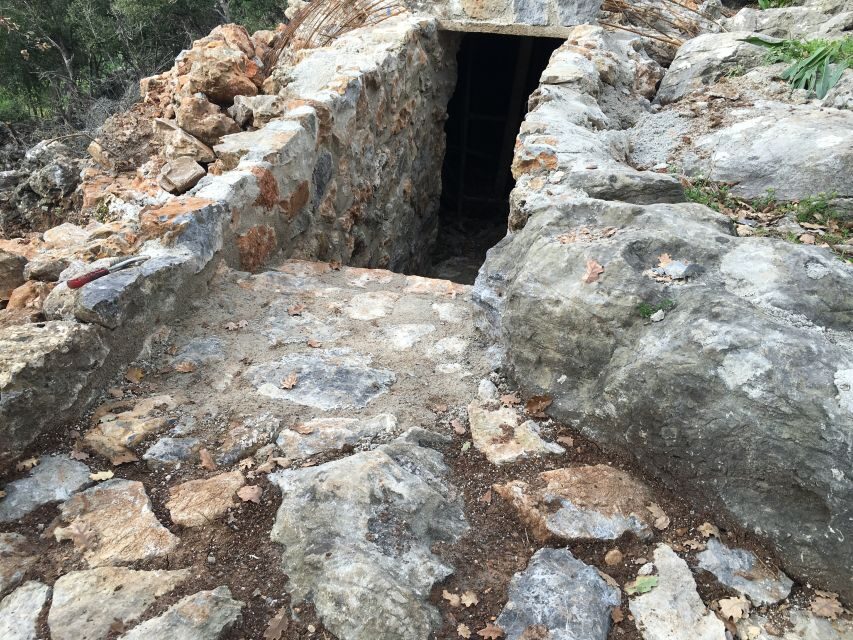 Rethymno 4x4 Safari: Tastes & Farm Experience - Viewpoint and wildlife moments above the valley