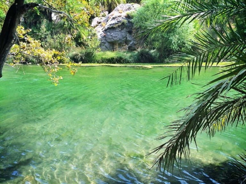 Rethymno/Chania: Preveli Beach and Kourtaliotiko Gorge Tour - Who this tour suits best (and who may not love it)