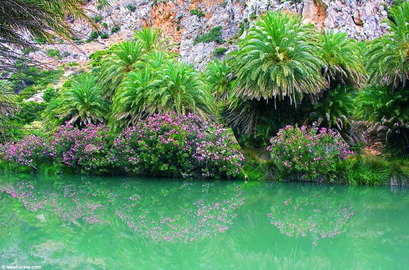Rethymno/Chania: Preveli Beach and Kourtaliotiko Gorge Tour - Timing and pacing: what you gain, what you might wish for