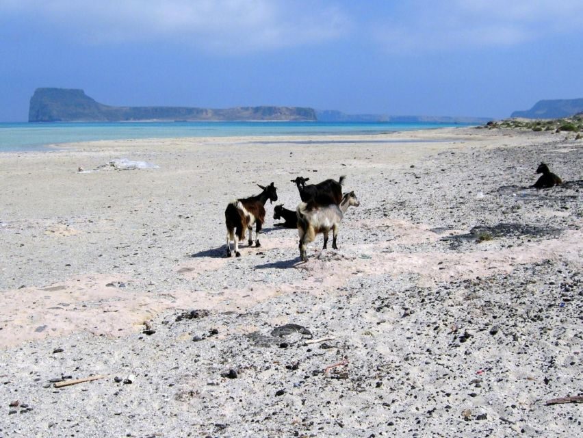 Rethymno: Gramvousa & Balos Lagoon Day Trip with Boat Ticket - Why This Day Trip Works: Boat + Two Icons of Northwest Crete
