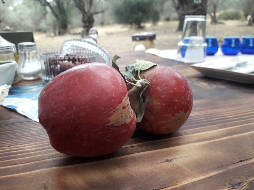 Rethymno: Olive Oil Tasting with Cretan Food Pairing - Learning to taste four different oils