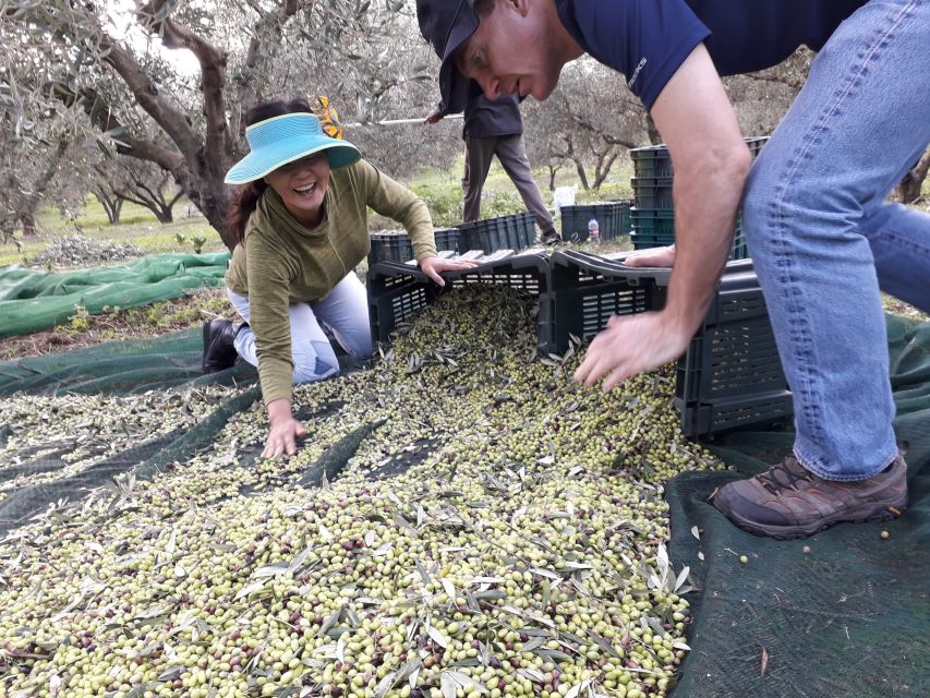 Rethymno: Olive Oil Tasting with Cretan Food Pairing - What the three hours feel like